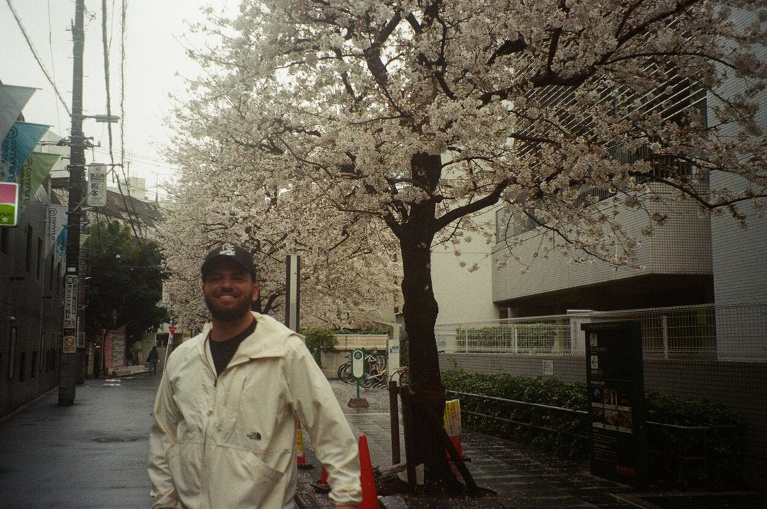 Cherry Blossom Season and Sake: A Perfect Pairing 🌸
